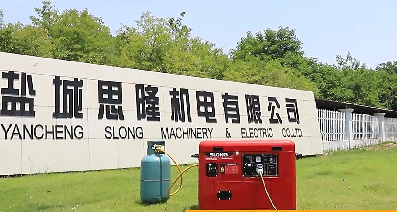 Portable dual fuel generator advantages Portable dual fuel generator advantages